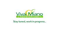 Pianta di Limone (Cespuglio - vaso 35)